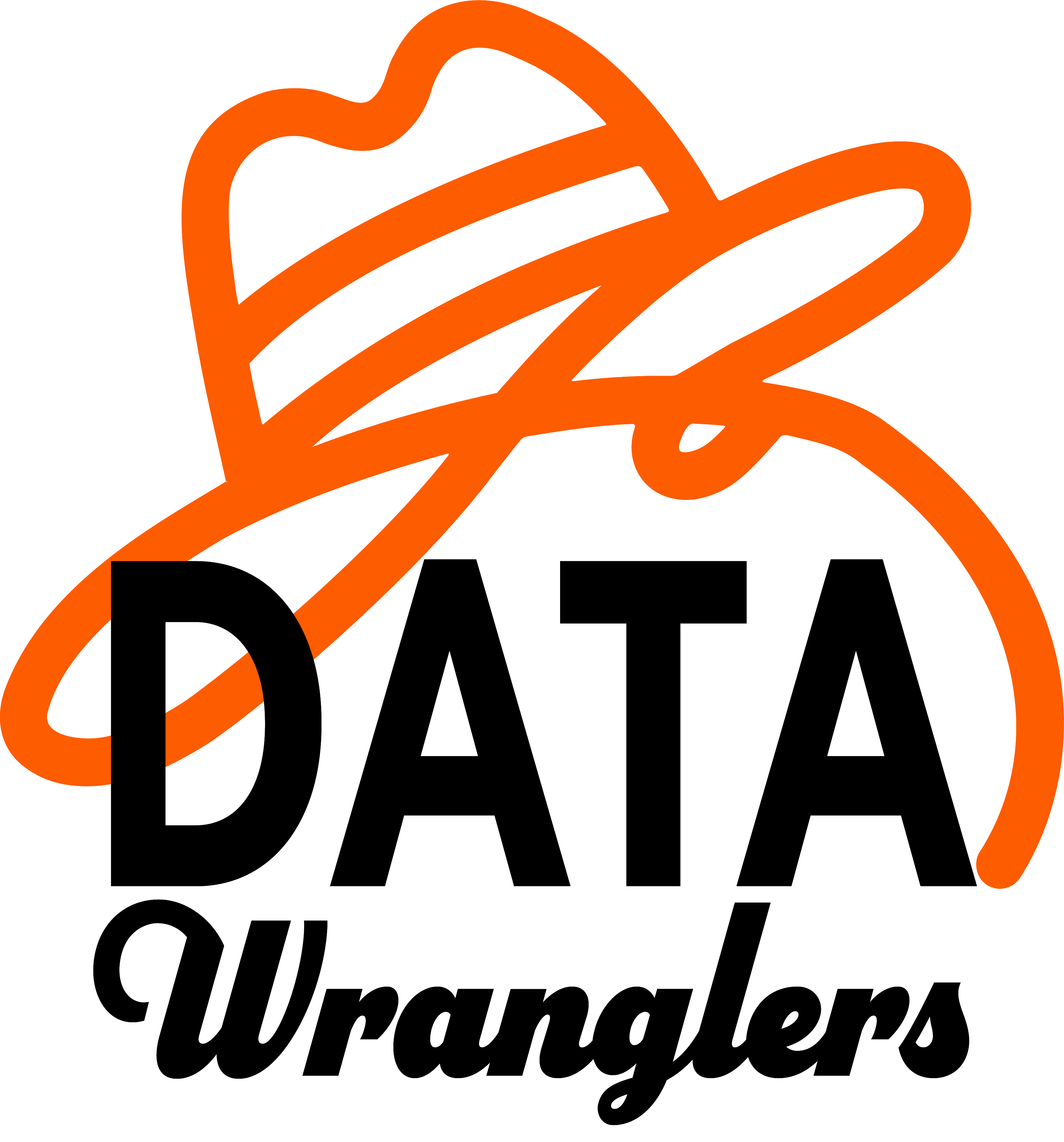 Data Wranglers Logo