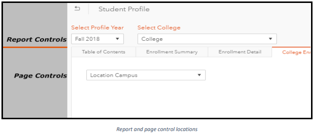 Report and Page Control Example Report and Page Control Example